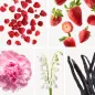 Preview: Duftnoten: Himbeere, Erdbeere, Pfingsrose, Maiglöckchen, Vanille Preview: Duftnoten: Himbeere, Erdbeere, Pfingsrose, Maiglöckchen, Vanille